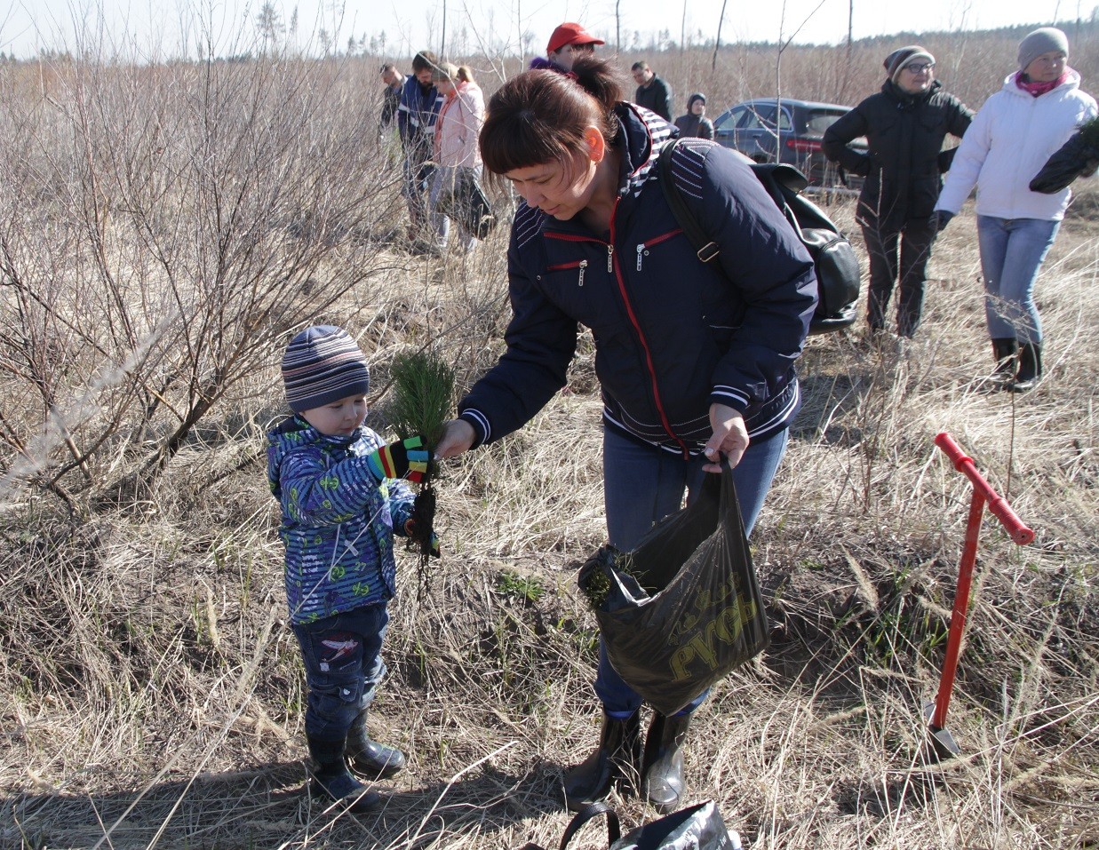 Город будет дышать