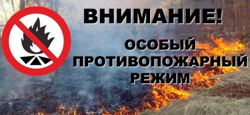 В Самарской области продлили запрет на пребывание граждан в лесах
