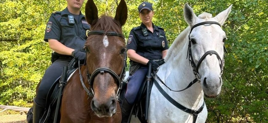 Сотрудники конной полиции рассказали о службе в подразделении