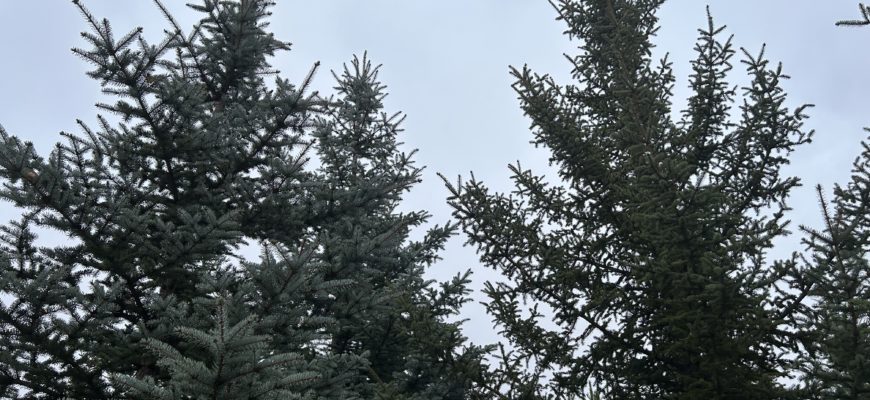 В Самарской области синоптики предупредили об опасной погоде