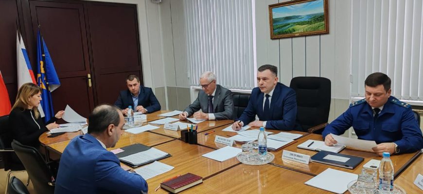В Тольятти прорабатывают варианты решения проблемы бездомных собак