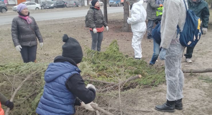 Тольяттинцы объединились, чтобы спасти старые деревья на улице Баныкина