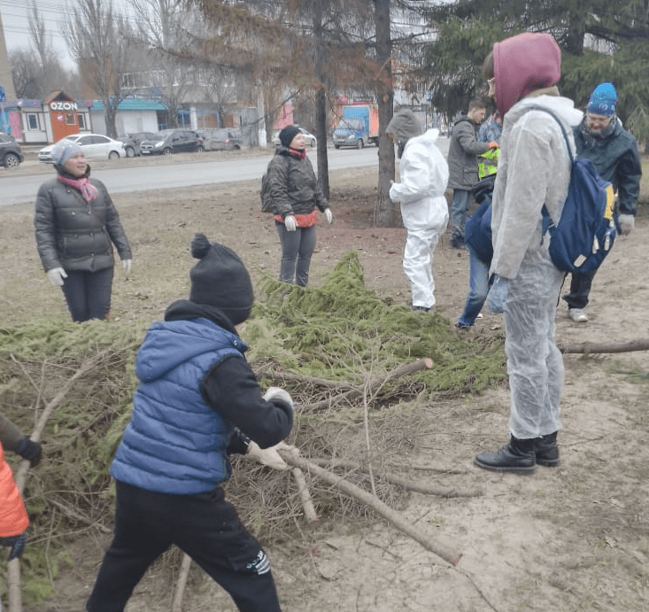 Тольяттинцы объединились, чтобы спасти старые деревья на улице Баныкина