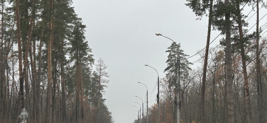 В Тольятти с 10 апреля ограничат движение по Лесопарковому шоссе из-за ремонта