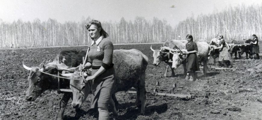Как маленький Ставрополь-на-Волге в годы Великой Отечественной войны помогал большой Победе