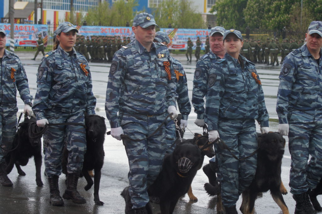 Священный день: в Тольятти прошел парад в честь 79-й годовщины Победы в Великой Отечественной войне