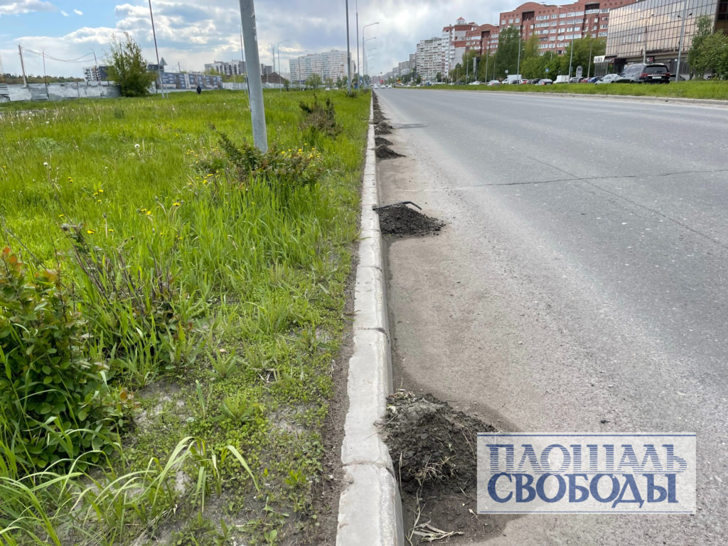 Могучие кучки: в Тольятти дорожники бросили прибордюрную грязь