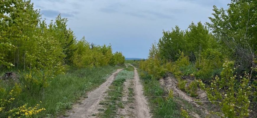 В Тольятти пройдет второй марафон формата Backyard Ultra В Тольятти пройдет второй марафон формата Backyard Ultra