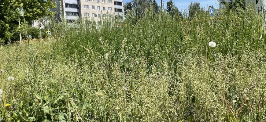 В Тольятти оценили содержание городских пространств