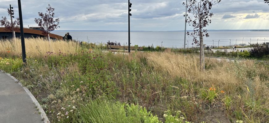 В Тольятти сорвали конкурс по содержанию набережной