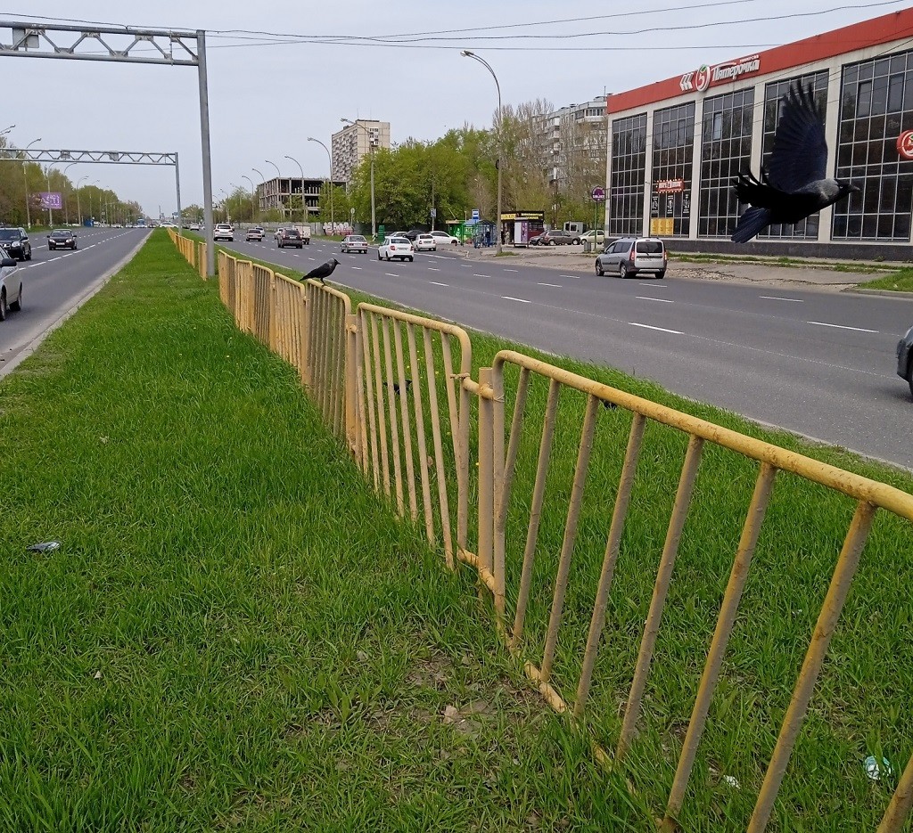 Зря стояли: с городских улиц Тольятти пропали желтые дорожные ограждения