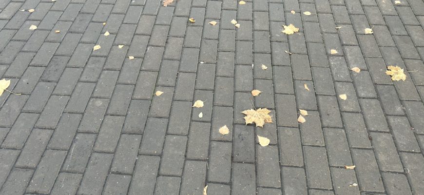 В Самарской области в начале осени температура поднимется до +27 °C
