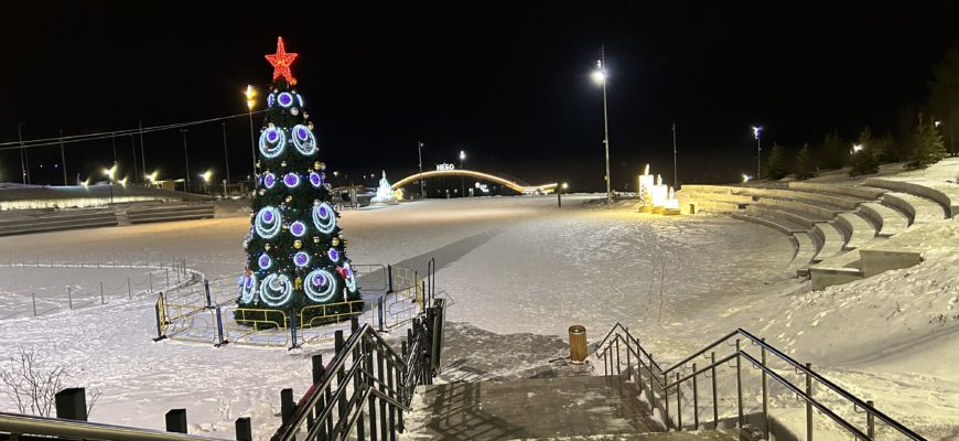 В Тольятти пожаловались на конкурс по украшению города за 10,9 млн рублей