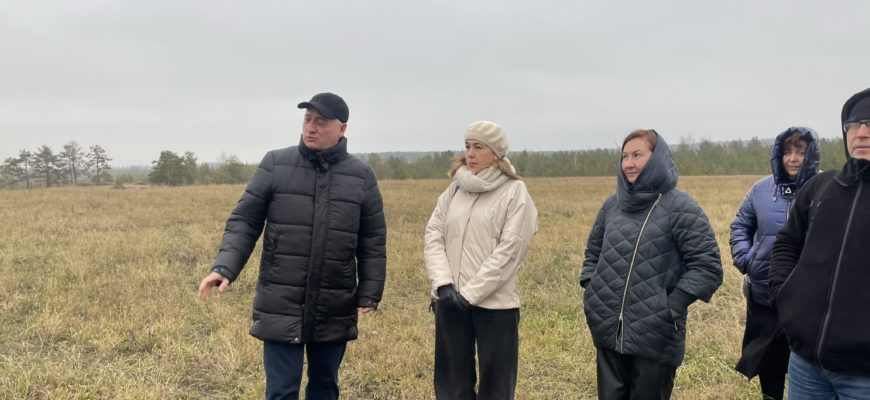 Санкционированная ликвидация: в Тольятти оценили работы по борьбе с незаконным свалками  