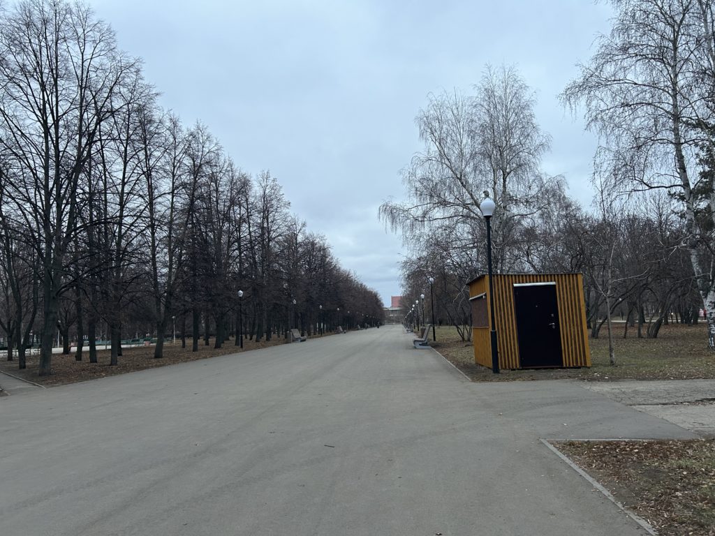 Прогноз погоды в Самарской области на начало декабря: от -4 °C до +1 °C