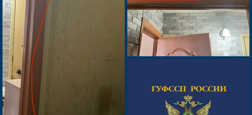 В Тольятти приставы заставили женщину вернуть стену в квартире на место В Тольятти приставы заставили женщину вернуть стену в квартире на место