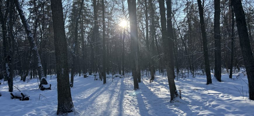 В Самарской области на рабочей неделе сохранится морозная погода В Самарской области на рабочей неделе сохранится морозная погода