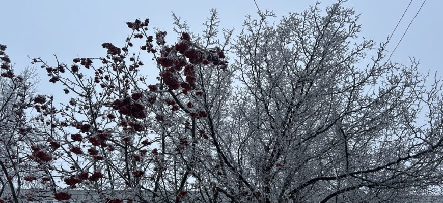 Самарскую область ждет потепление после 23 февраля 