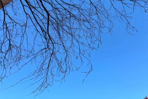 В Самарской области ожидается резкое потепление до +15 °C В Самарской области ожидается резкое потепление до +15 °C