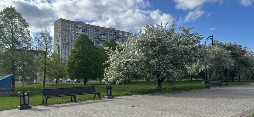 В Самарской области потеплеет до +25 градусов