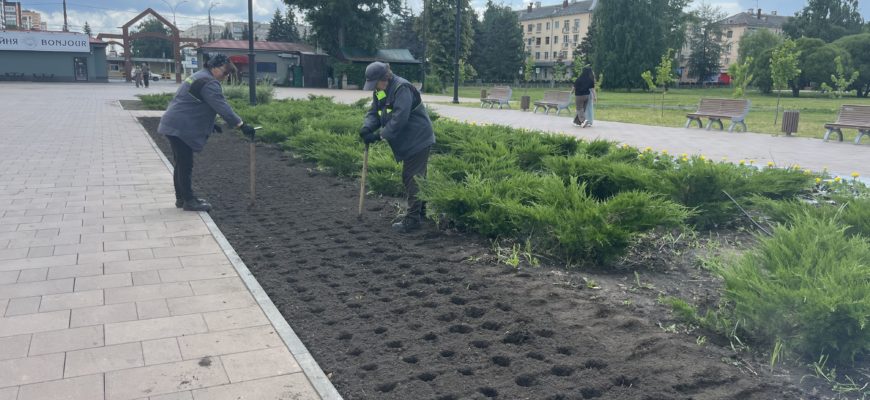 В Тольятти на центральной аллее горсада высаживают цветы