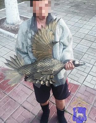 В Жигулевске раскрыли кражу популярной скульптуры утки