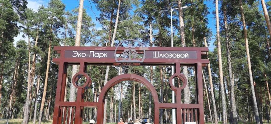 «Профи Сервис Тольятти» доверили благоустройство города на сумму более 100 млн рублей