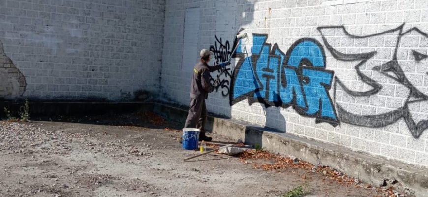 В Тольятти в парке Центрального района вандалы повредили имущество