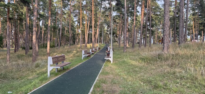 В Тольятти ищут подрядчика для содержания экопарка в микрорайоне Шлюзовой В Тольятти ищут подрядчика для содержания экопарка в микрорайоне Шлюзовой
