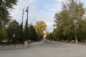В Тольятти рассказали о планах по озеленению города