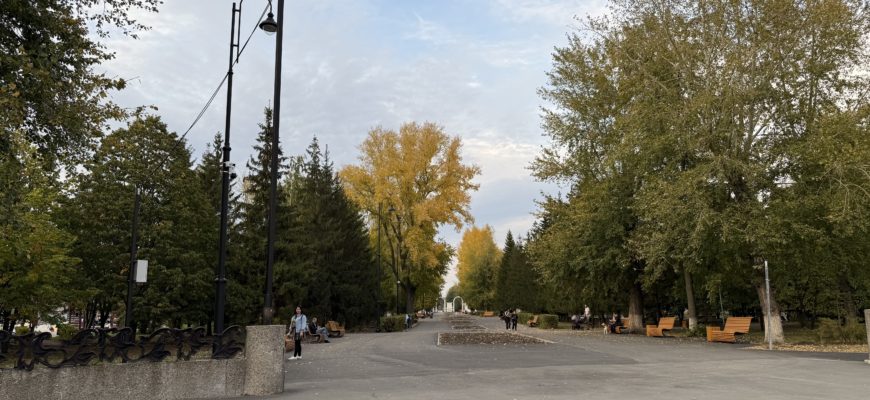 В Тольятти рассказали о планах по озеленению города
