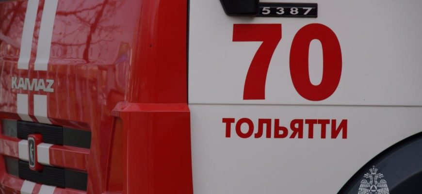 В Тольятти локализован природный пожар