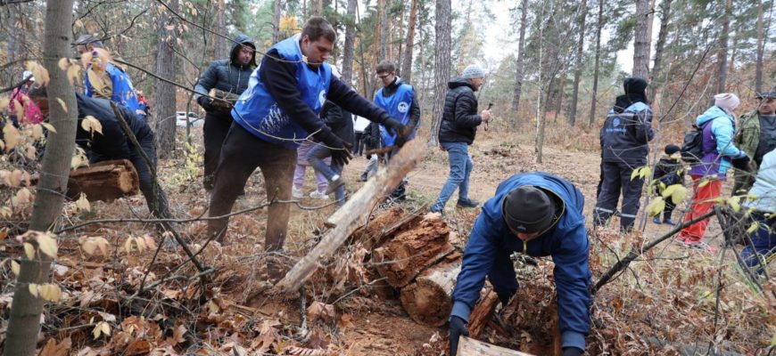 «КуйбышевАзот» возвращает к жизни зеленые легкие Тольятти «КуйбышевАзот» возвращает к жизни зеленые легкие Тольятти