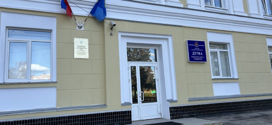 В Тольятти создадут программу экопарковок