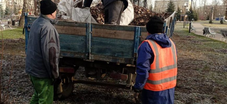 В Тольятти ежедневно проводится уборка листвы в парках и скверах В Тольятти ежедневно проводится уборка листвы в парках и скверах
