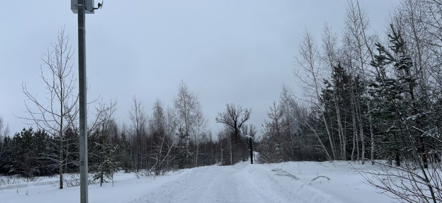 До -10°C и снегопады: прогноз погоды для Самарской области на конец декабря