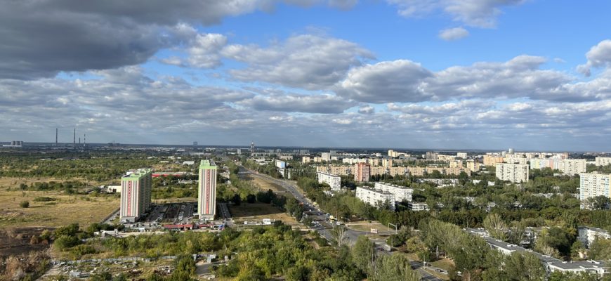 В Тольятти в 2026 году на озеленение города направят свыше 5 млн рублей
