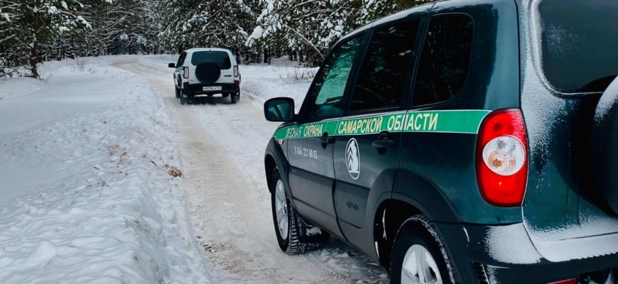 В Самарской области стартовала операция «Ель» по охране хвойных лесов