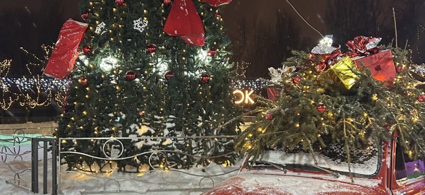 В Самарской области первые дни января будут снежными и ветреными В Самарской области первые дни января будут снежными и ветреными