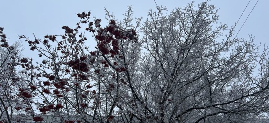 В Самарскую область придут морозы до -32 °C