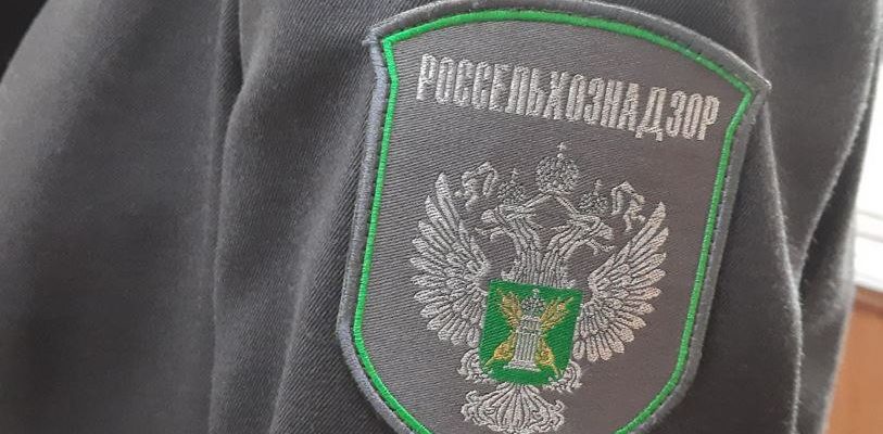 Россельхознадзор выявил нарушения в самарском онлайн-магазине, торгующем семенами Россельхознадзор выявил нарушения в самарском онлайн-магазине, торгующем семенами