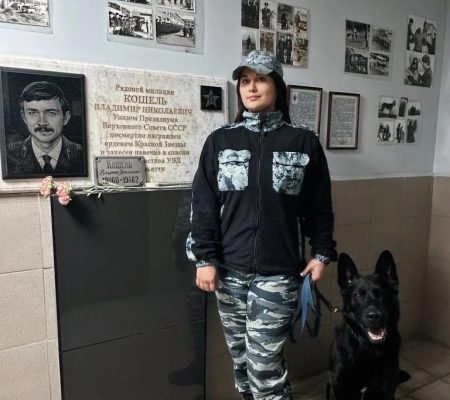 В Тольятти кинологи помогли найти 13-летнюю девочку В Тольятти кинологи помогли найти 13-летнюю девочку