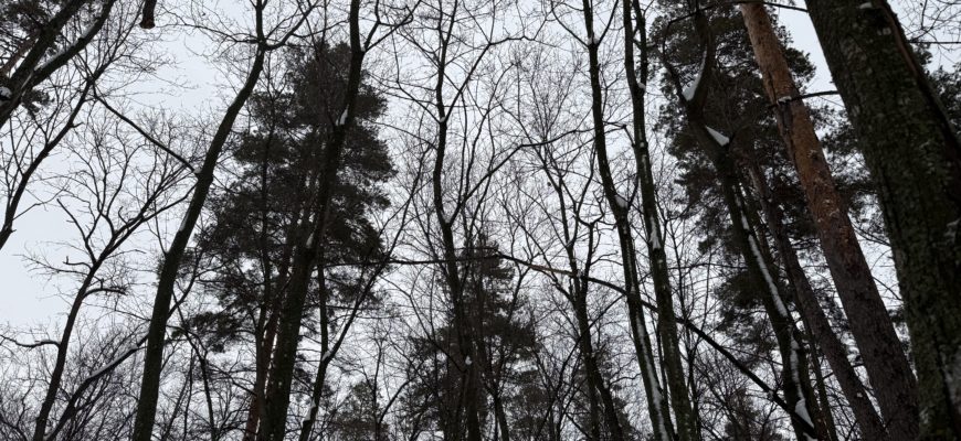 В Самарскую область идут два циклона 