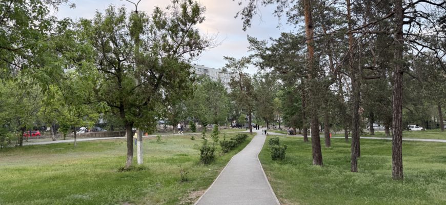 До +33 °C в начале недели и до +23 °C к пятнице: погода в Самарской области