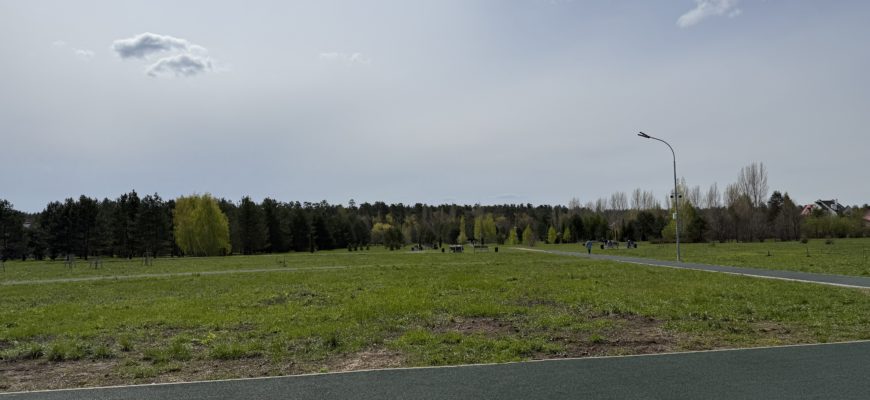 В Тольятти дендропарк планируют развивать по зонам