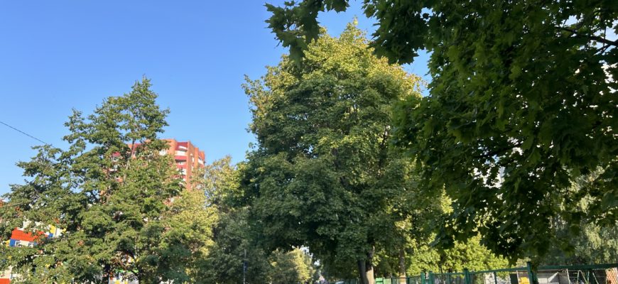 В Тольятти летом на благоустройство дворов потратят более 100 млн рублей В Тольятти летом на благоустройство дворов потратят более 100 млн рублей