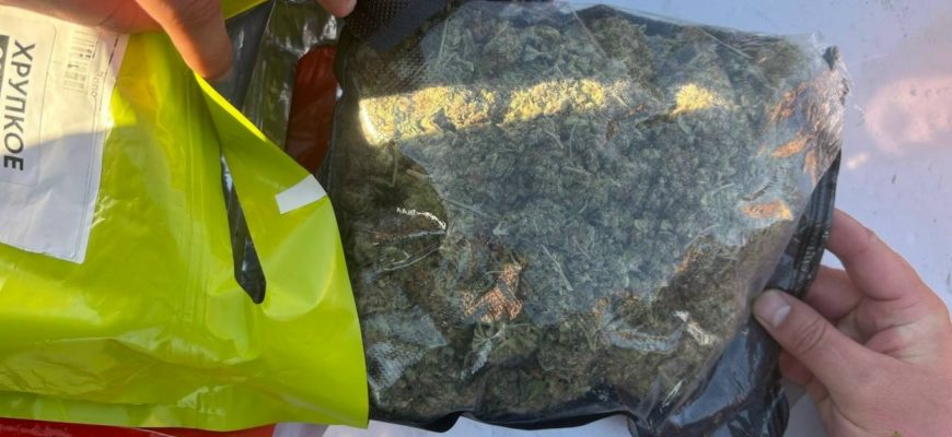 В Тольятти пресечена попытка сбыта наркотического вещества в крупном размере