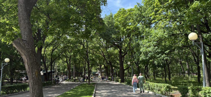 Жара до +30°C и грозы: погода в Самарской области с 7 по 11 июля
