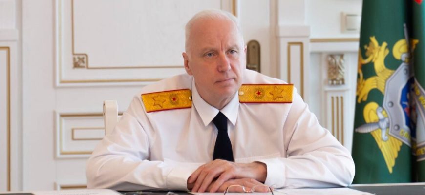 Бастрыкин поручил доложить о расследовании нападения на пешехода в Тольятти