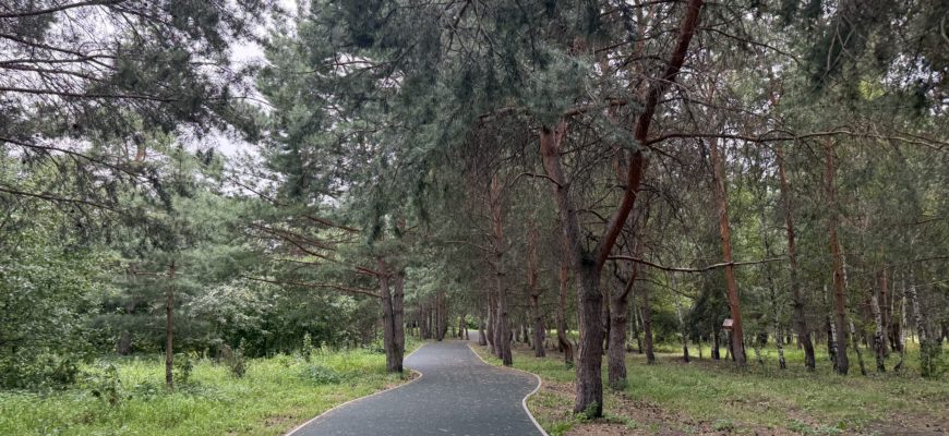 В Самарской области воздух прогреется до +32 °C